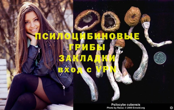 прущие крисы Алзамай