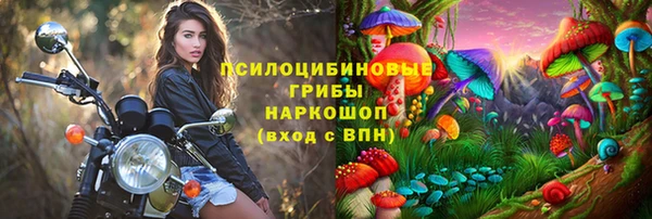 стафф Алексеевка