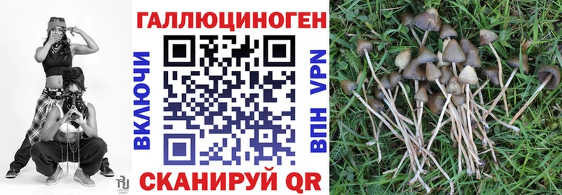 Псилоцибиновые грибы Psilocybine cubensis  купить  цена  Краснознаменск 